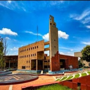 Delhi Technological University