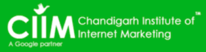 CIIM — Chandigarh Institute of Internet Marketing Digital Marketing Course in Mohali
