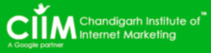 CIIM Digital Marketing Course Shahzadpur