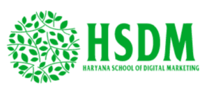 Haryana School of Digital Marketing Digital Marketing Course in Hisar