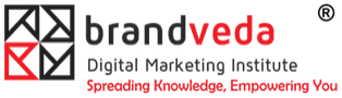 BrandVeda digital marketing courses in palanpur