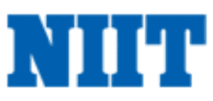 NIIT digital marketing courses in raebareli